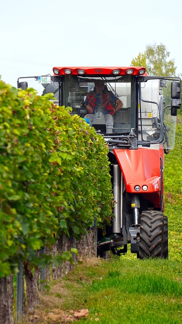 IA en la agricultura: la tecnología está revolucionando los viñedos de California IA en la agricultura