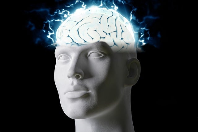 Paradoja de Jevons en la inteligencia artificial