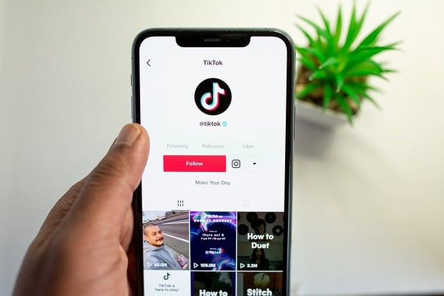 Domina el contenido en TikTok: 7 consejos para conquistar a tu audiencia Domina el contenido en TikTok: 7 consejos para conquistar a tu audiencia