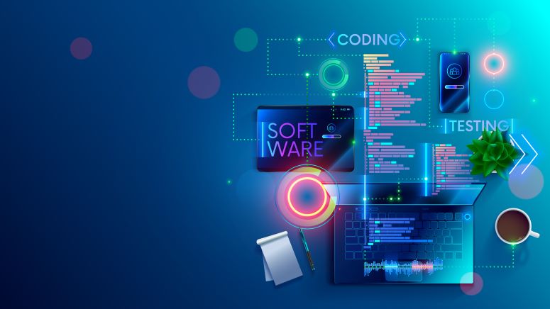 ¿Qué es un Desarrollo de Software Web? ¿Qué es un Desarrollo de Software Web?