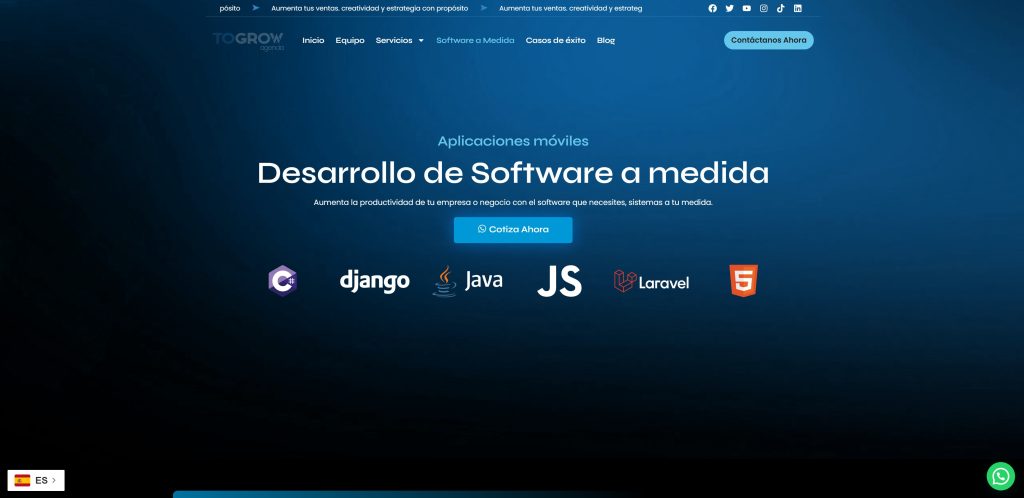 ¿Qué empresas ofrecen soluciones de software a medida para negocios? desarrollo de software a la medida