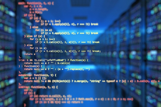 Todo lo que debes saber sobre el desarrollo de SW Lenguajes de programación