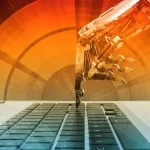 5 mejores Empresas de Software a medida en Orlando Florida