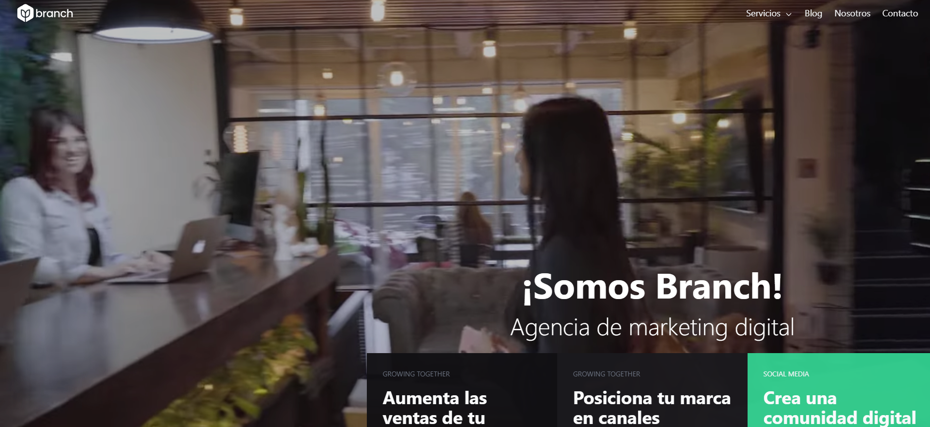 5 Mejores Agencias De Marketing Digital En Costa Rica -2024