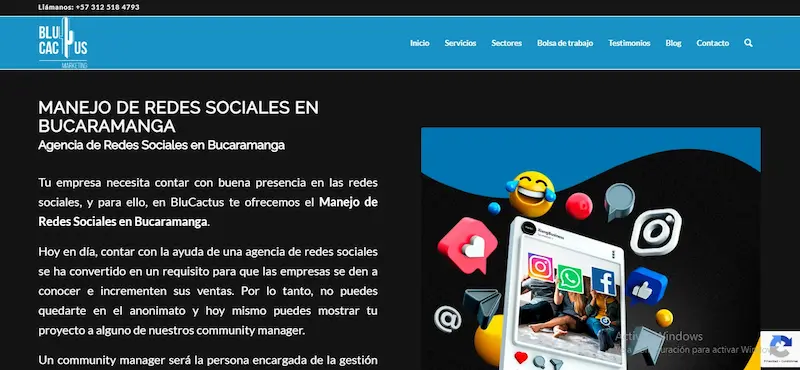 5 mejores agencias Social Media en Bucaramanga, Colombia Agencia BluCactus