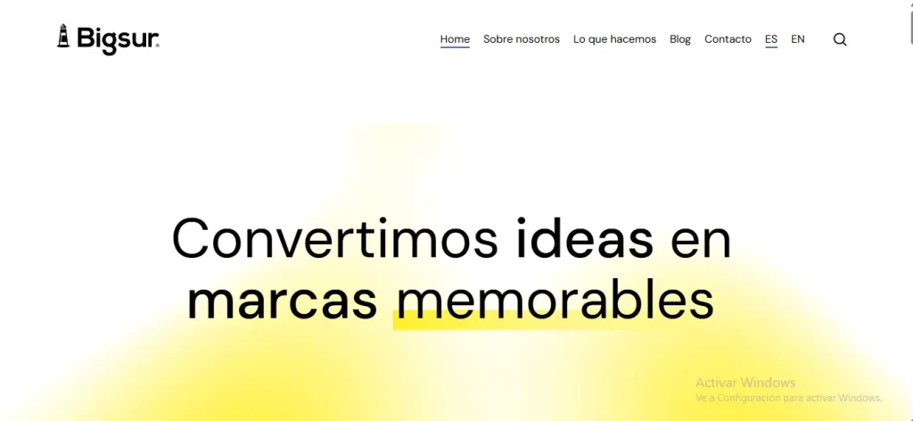 5 mejores agencias de Branding en México Agencia Bigsur