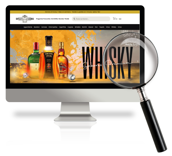DISEÑO DE WEB PARA EL CLIENTE