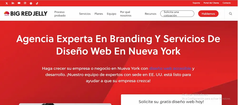 Top 6 Agencias Diseño Web New York Agencia Big Red Jelly