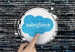 PLATAFORMA SALESFORCE