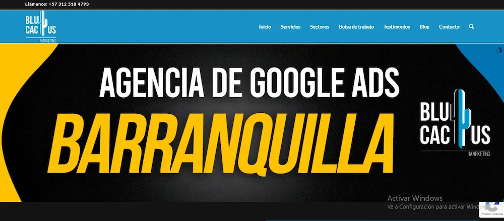 Agencia BluCactus