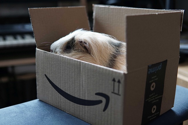 Caída en AWS por código generado con IA: qué ocurrió y qué revela sobre el futuro del desarrollo Caída en AWS por código generado con IA