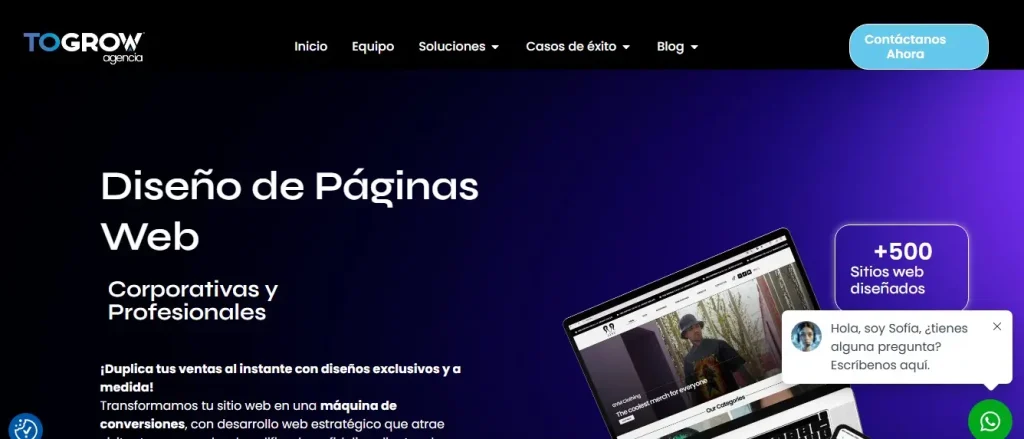 Las 7 Mejores Agencias de Diseño Web para Latinos en USA AGENCIA DE DISEÑO WEB TOGROW