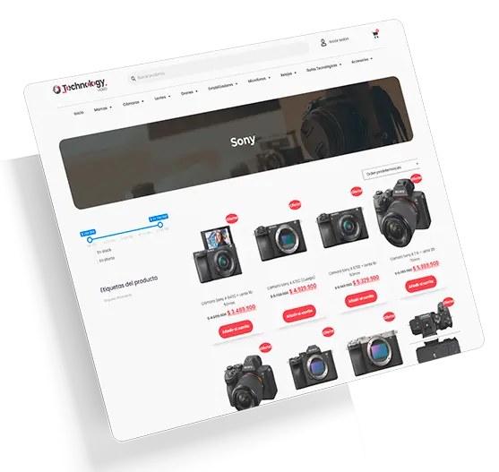 DISEÑO WEB TIENDA ONLINE 2026